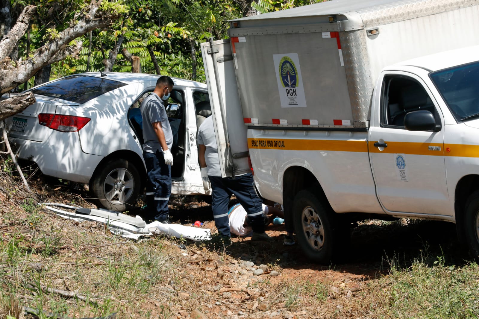 Conductor pierde el control de su carro; choca contra un árbol y muere ...