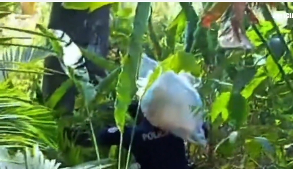 #SucesosCri La Policía Nacional frustra ingreso de armas y drogas en el Centro Penitenciario La Joyita.