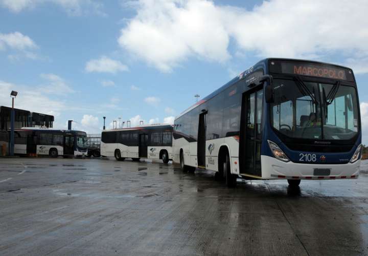 Llega nueva flota de 65 autobuses 