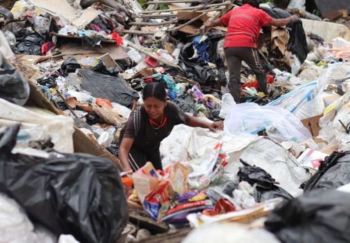Diariamente, más de 350 recicladores recolectan materiales en el vertedero de Cerro Patacón.