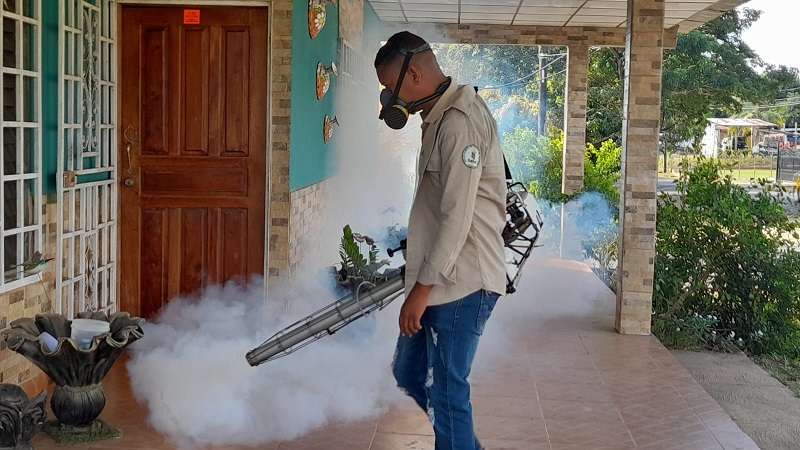 El Minsa efectúa fumigaciones en áreas de contagio para matar a los mosquitos adultos.