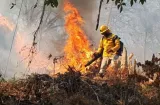 Panamá se prepara pa’ la candela: refuerzan medidas contra incendios 