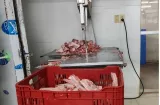 Le siguen la pista a dos carnicerías por venta de carnes de dudosa procedencia