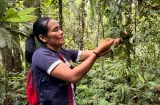 Mujeres amazónicas de Ecuador recolectan más de 250,000 semillas