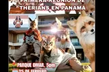 Parque Omar para en seco el “encuentro therian”