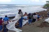 Sacan unas130 libras de toda clase de basura en playa Majagual, Colón 