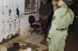 Cazador furtivo aprehendido en Arraiján con iguanas y venado