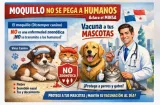 Moquillo en perros y gatos no se pega a humanos, aclara el Minsa