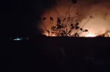 Bomberos combaten incendio de masa vegetal en Coclé por más de seis horas