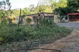 Vientos tumban árboles y dejan daños en Chiriquí