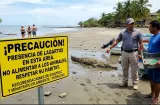 Autoridades alertan sobre presencia de lagartos en playa Torio