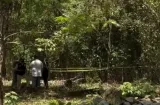 Identifican a hombre hallado muerto en finca chiricana; lo mataron a golpes