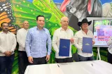 Panamá busca genética gringa para levantar la ganadería chica