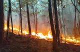 La Yeguada en llamas: Controlan 2 incendios forestales; el tercero está activo