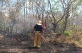 Peligro: Incendio forestal pone en alerta a Calobre y Veraguas