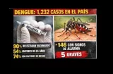 Alerta: 31 muertos por influenza y dengue sigue golpeando
