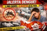 Dengue no afloja: 1,390 casos y 4 muertos en el país