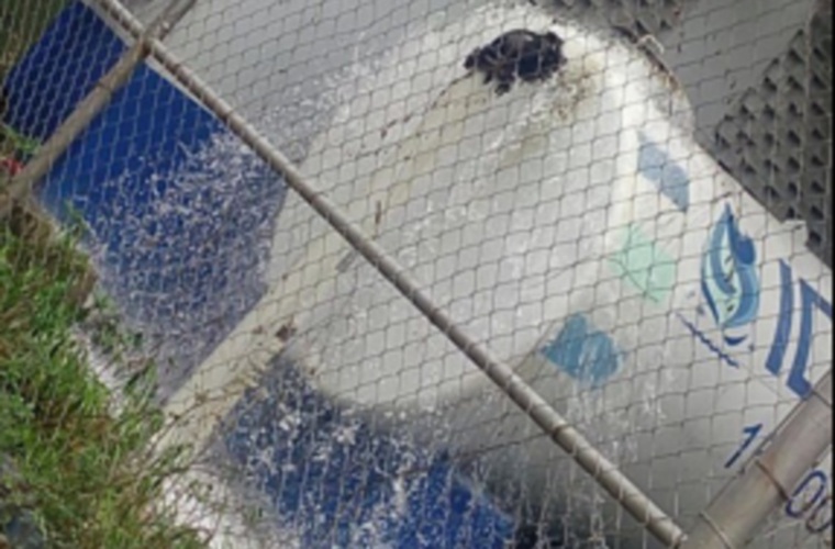 Residentes de Quebrada Ancha, en Chilibre denuncian que millones de galones de agua se están desperdiciando en esta comunidad.