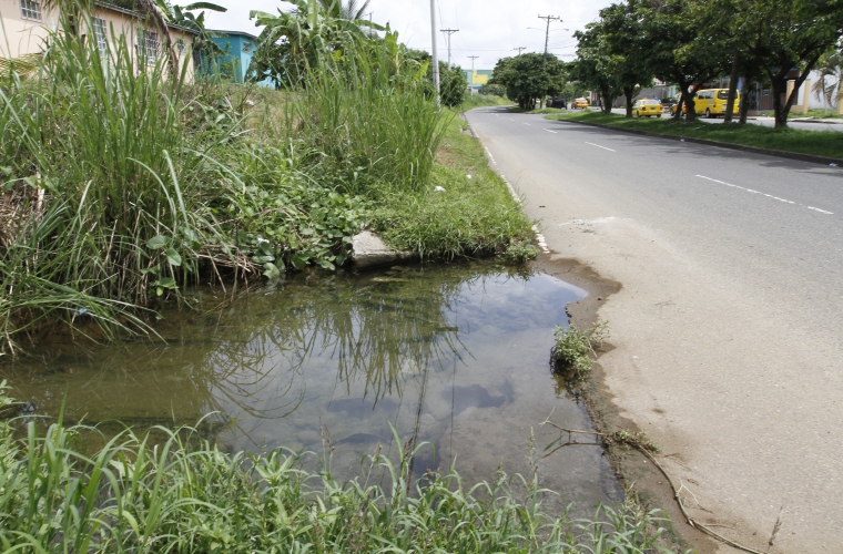 Reportan que en Nuevo Tocumen hay un drenaje pluvial obstruido hace más de 5 años, en la vía principal, y aún las cuadrillas del Idaan y MOP ni se han acercado a resolver dicha situación, que genera criaderos de mosquitos. Foto Edwards Santos Crítica