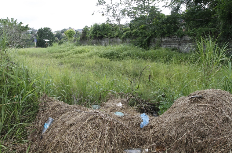 Residentes de Villa Lucre, en San Miguelito, denuncian que muchos dueños de lotes no se acuerdan que tienen que mandarlos a limpiar. Foto Edwards Santos Crítica