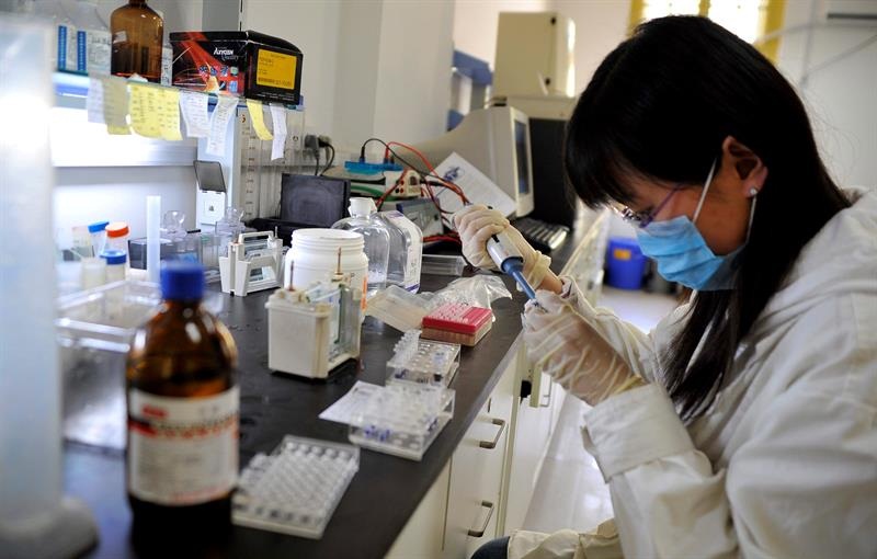 Emplean en Japón por primera vez Inteligencia Artificial para detectar un tipo de leucemia Una científica trabaja en un laboratorio.  /  Foto: EFE Archivo