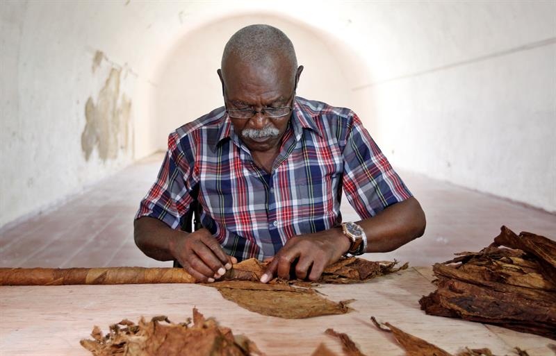 El tabaquero cubano José Castelar Cairo, conocido como "Cueto", confecciona por estos días en La Habana un nuevo habano gigante.  / Foto: EFE