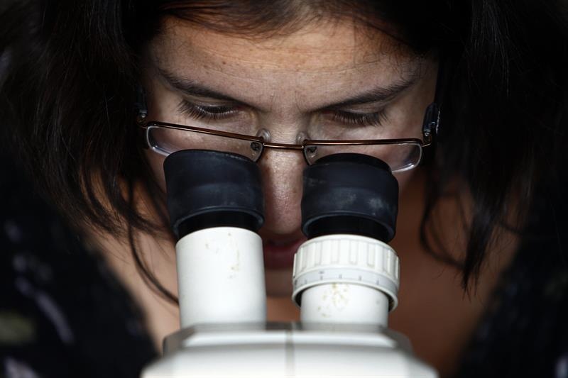 Científicos del Instituto de Investigación del Sida IrsiCaixa han identificado por primera vez en personas con Sida una variante genética.  /  Foto: EFE