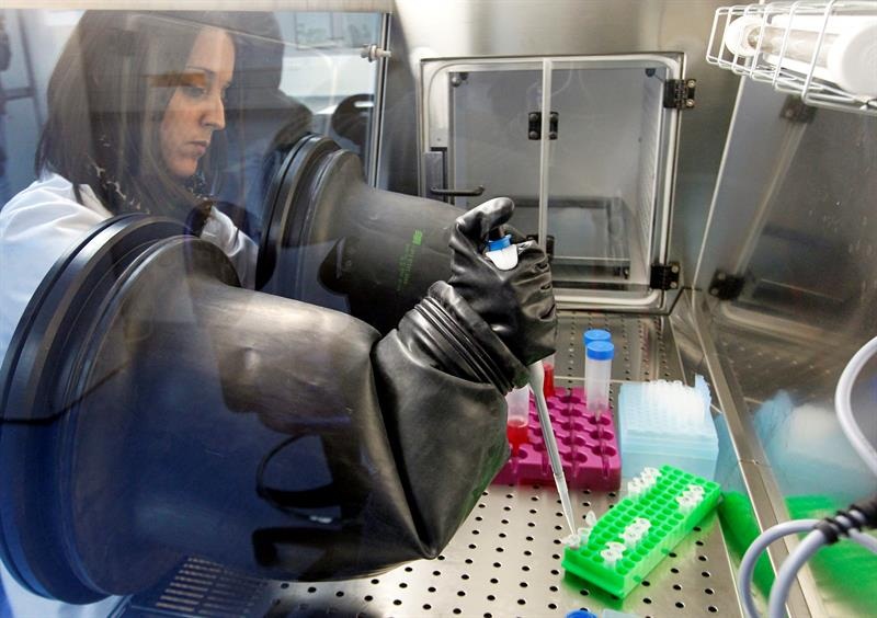 Detalle de un laboratorio para la producción con células madre de órganos bioartificiales para trasplante.  / Foto: EFE Archivo