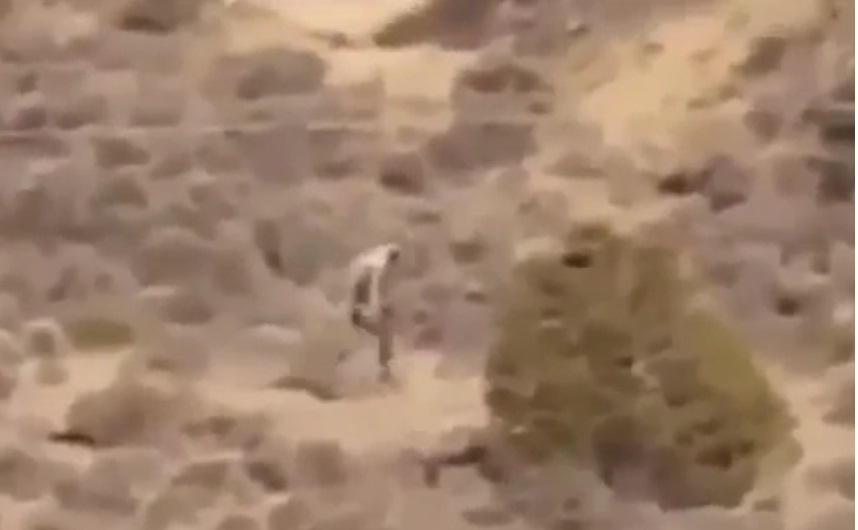 Imagen capturada de un video de dailymotion.com