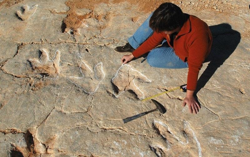 Fotografía facilitada por los investigadores del Instituto Catalán de Paleontología (ICP) que han documentado en una cantera del Vale de Meio (Portugal) más de 80 rastros y 700 huellas.  /  Foto: EFE