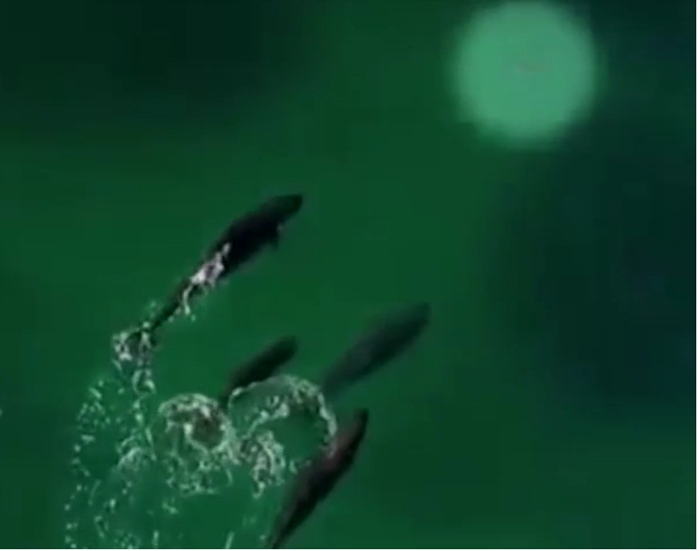 Captura de pantalla: dailymotion.com