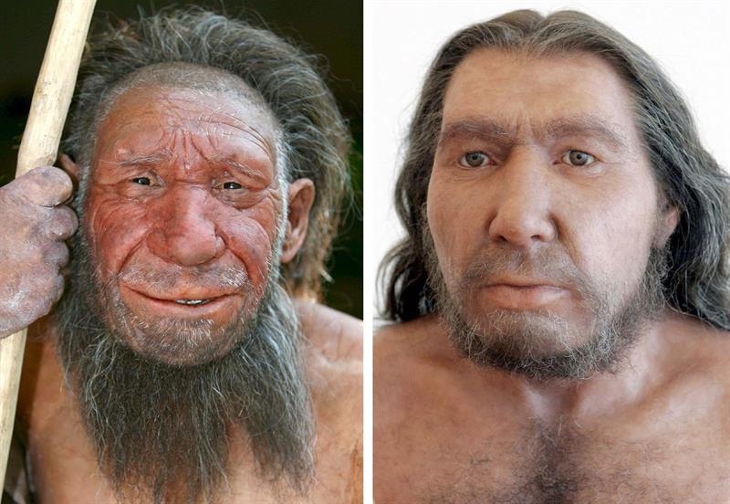 La fotografía muestra dos reconstrucciones de Hombres de Neanderthal del museo Neanderthal de Mettmann, en Bonn, Alemania.  /  Foto: EFE Archivo