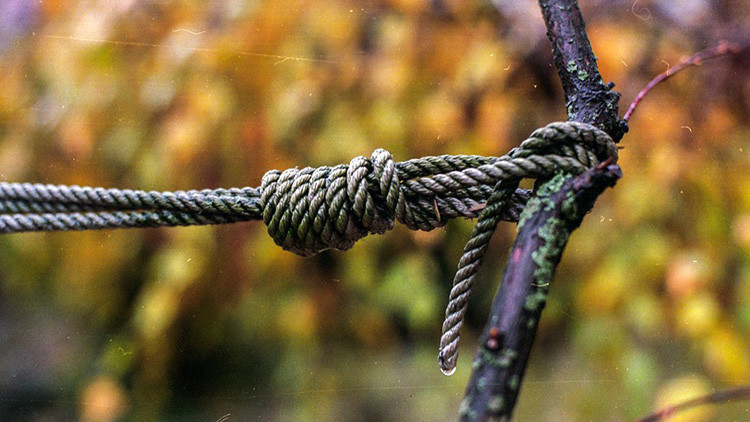 Foto: Ilustrativa - Pixabay