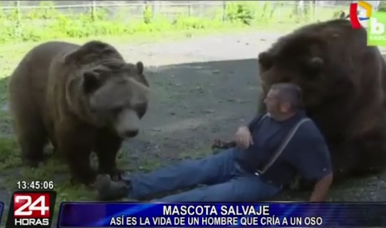 Captura de video dailymotion.com
