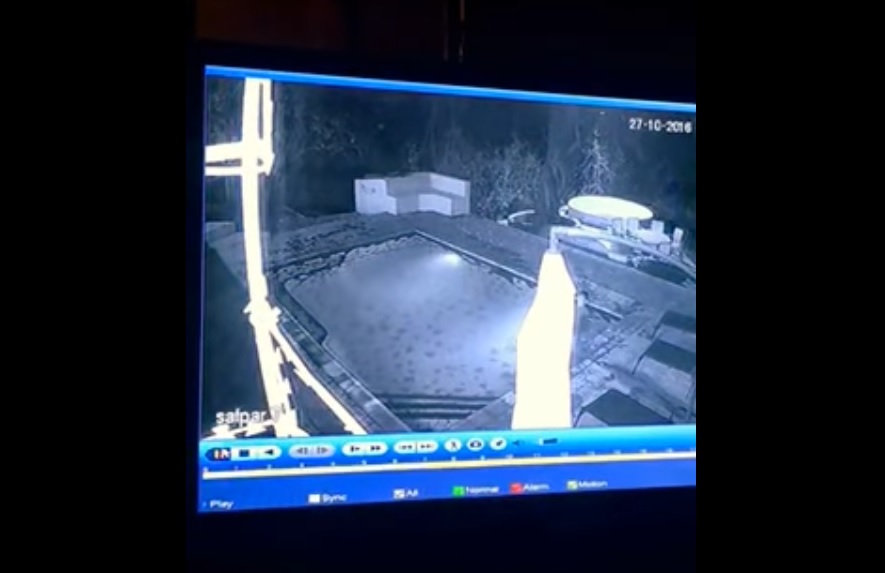 Captura de video Zimbo88