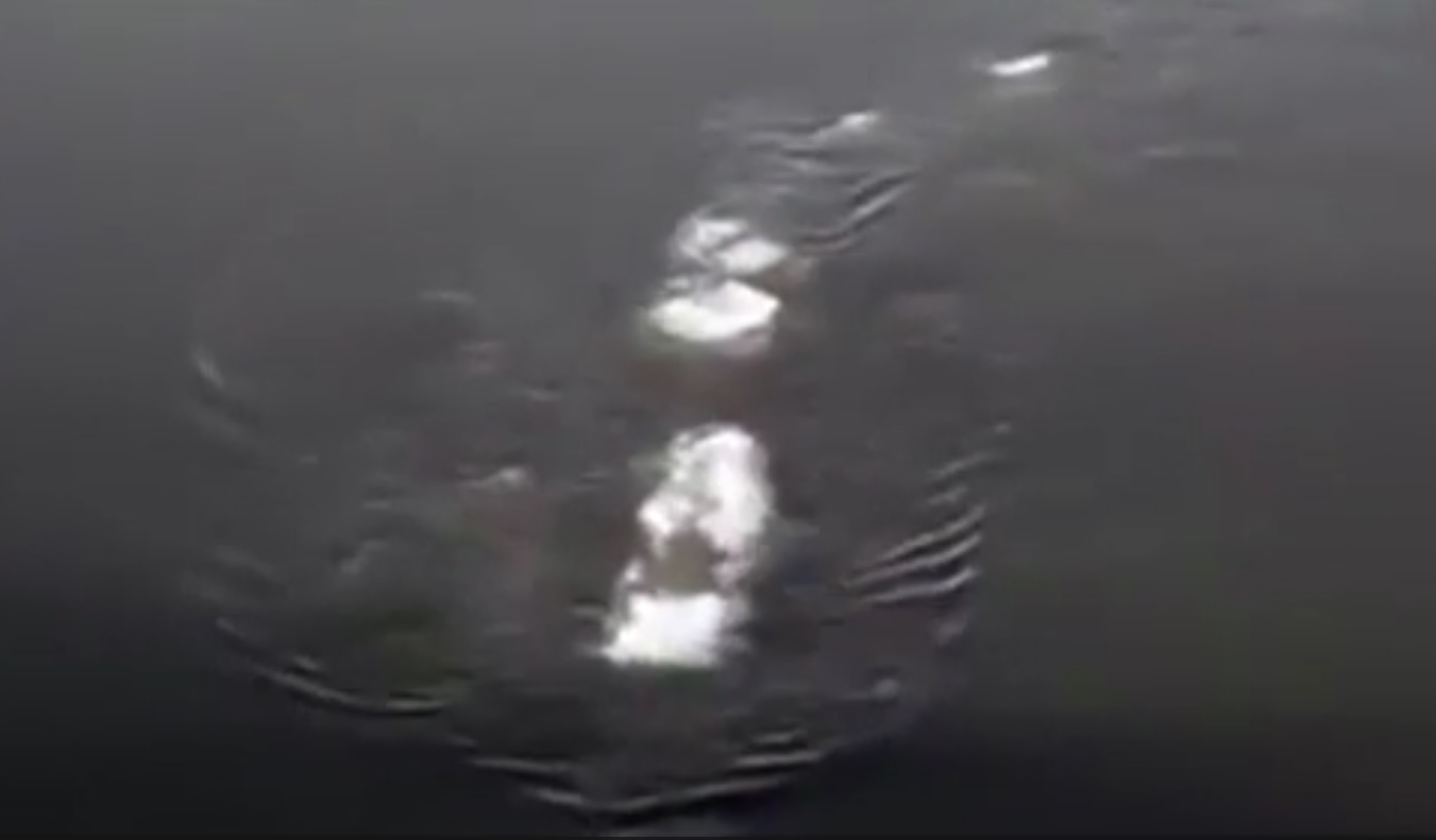 Captura de video dailymotion.com