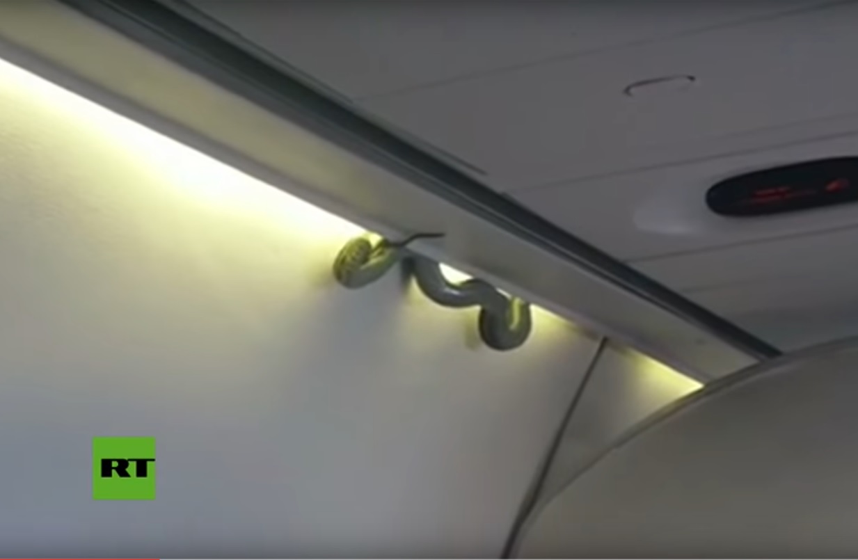 Captura de video Actualidad.rt.com