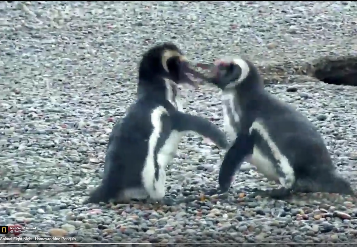 Captura de video Actualidad.rt.com