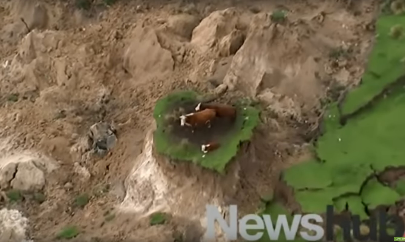 Captura de video Actualidad.rt.com