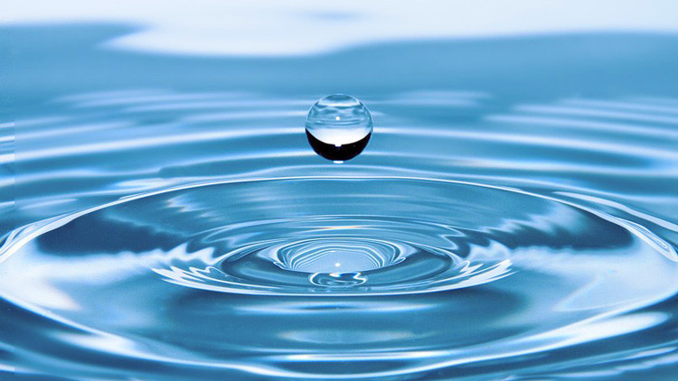 Foto Ilustrativa - Pixabay