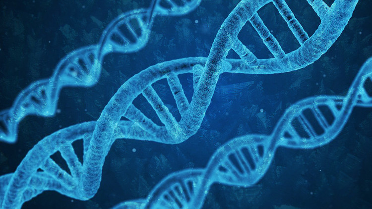 Foto Ilustrativa - Pixabay