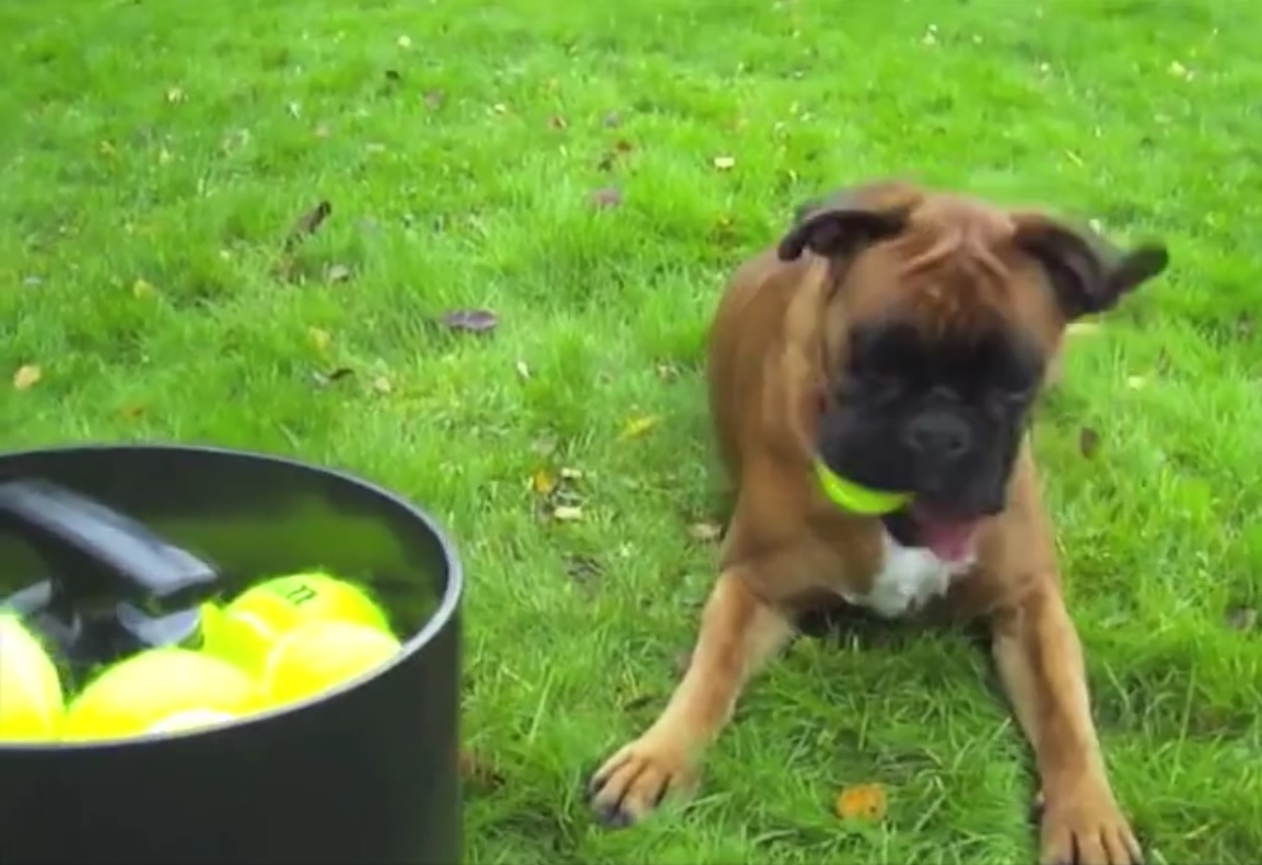 Captura de video dailymotion.com