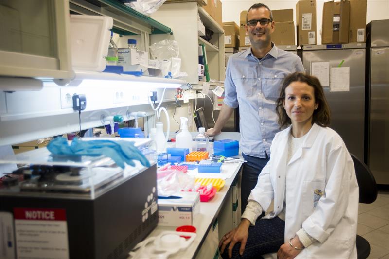 Los científicos del IRB Barcelona, Salvador Aznar Benitah (i) y Gloria Pascual (d), posan hoy para los medios en Barcelona. EFE
