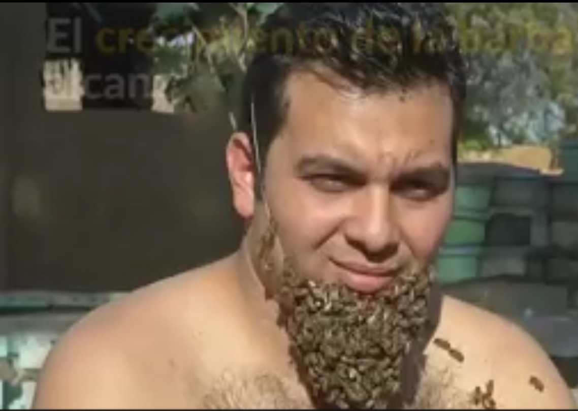 Captura de video dailymotion.com