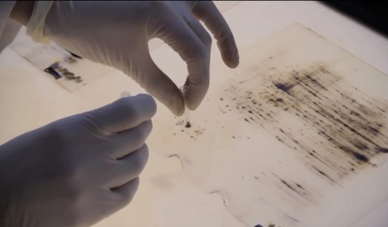 Captura de video dailymotion.com