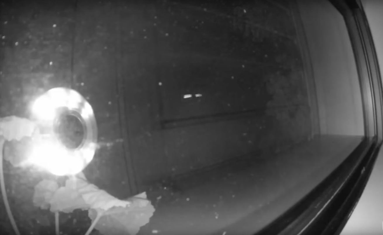 Captura de video Actualidad.rt.com