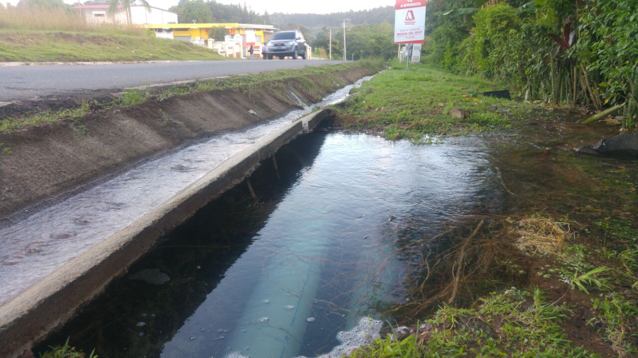 Agua potable se desperdicia. /  Foto: Jesús Simmons