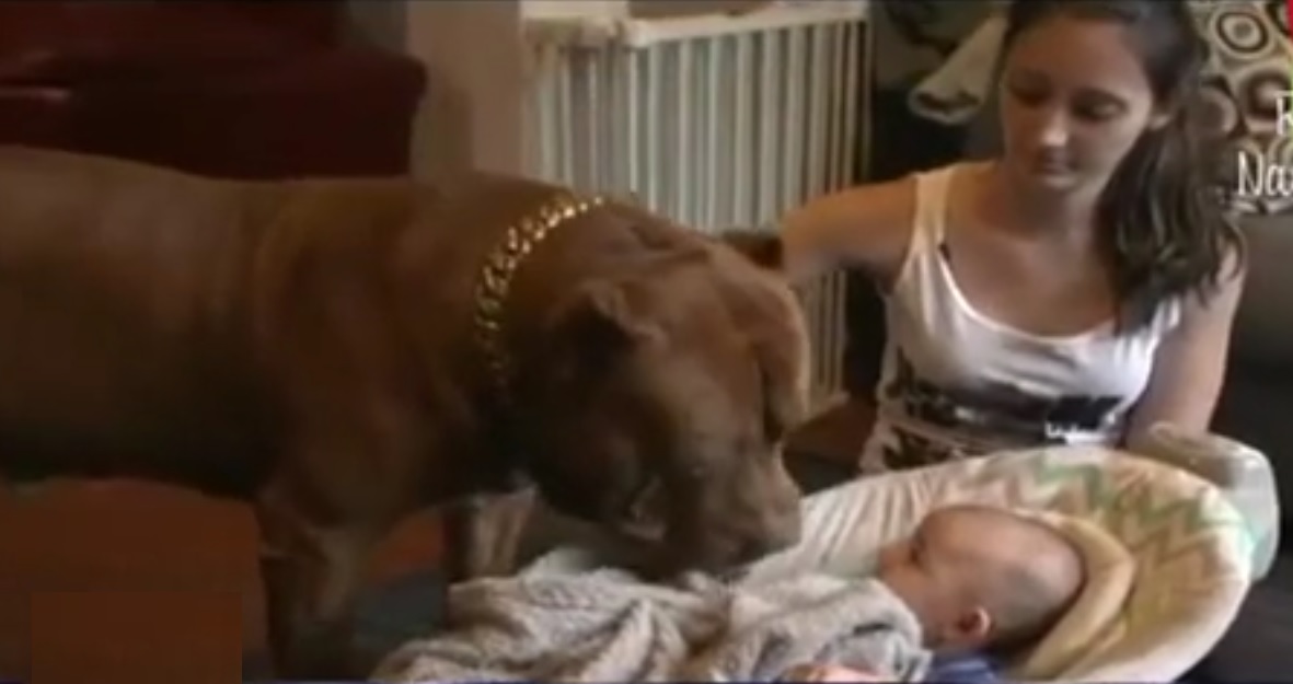 Captura de video dailymotion.com