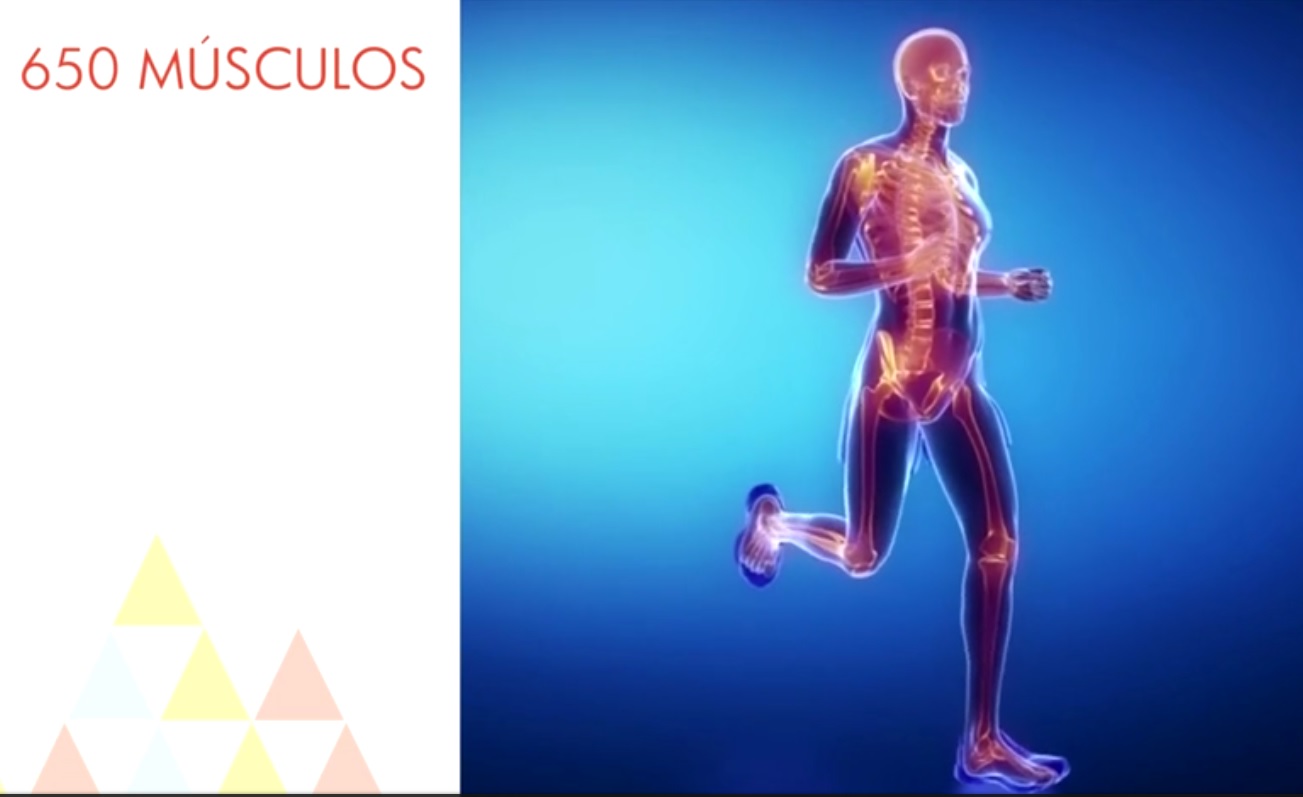 Captura de video dailymotion.com