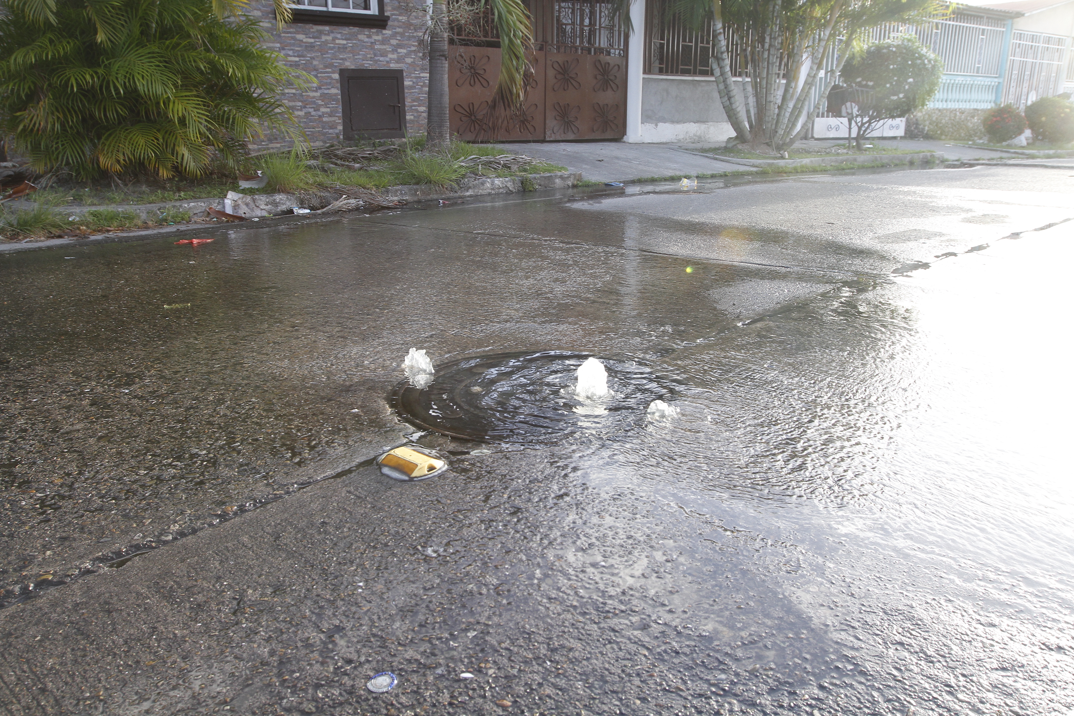 Las aguas servidas corren por toda la calle.  /  Foto: Edwards Santos